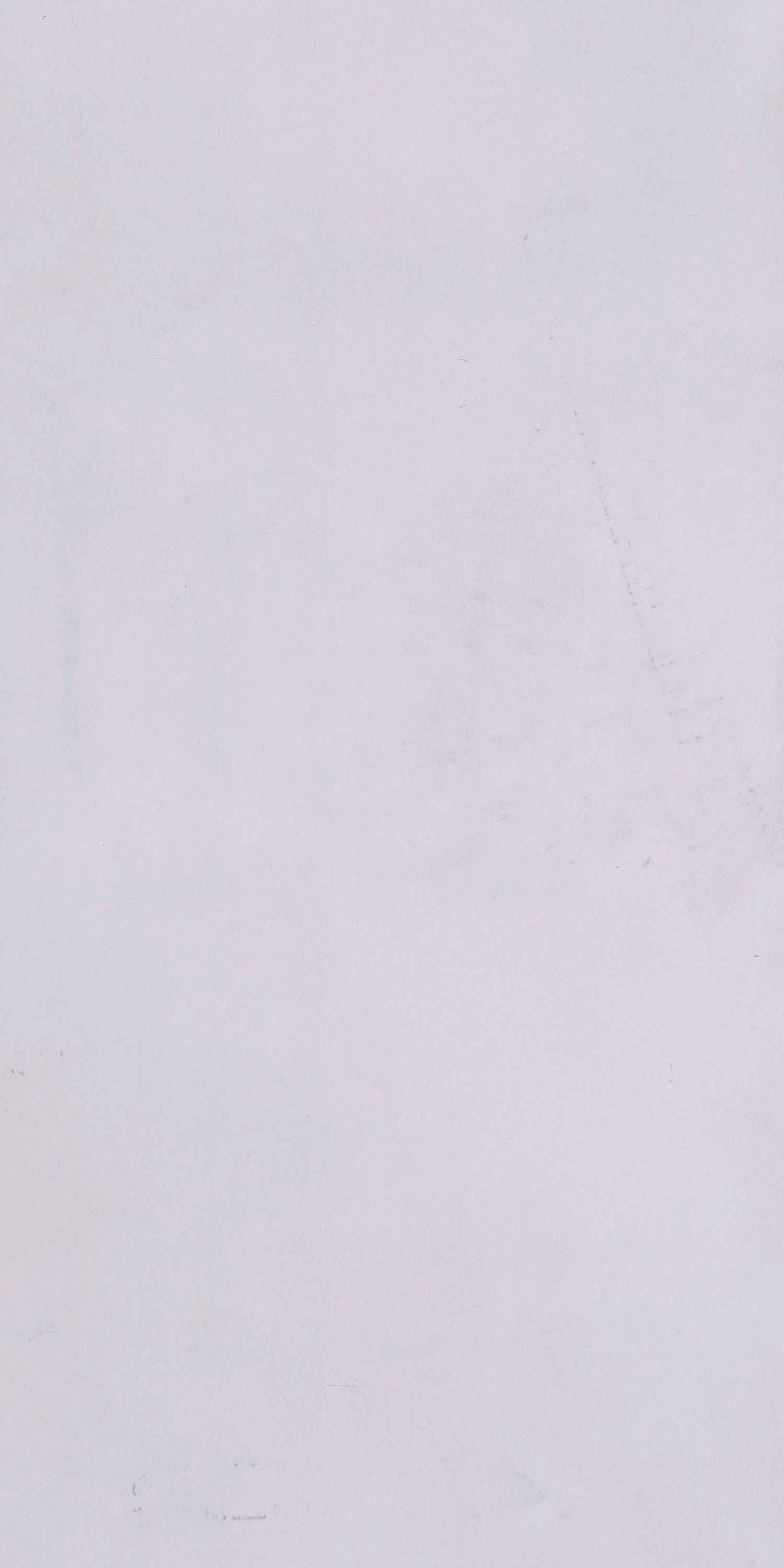 Silver Brush – 1001 BR