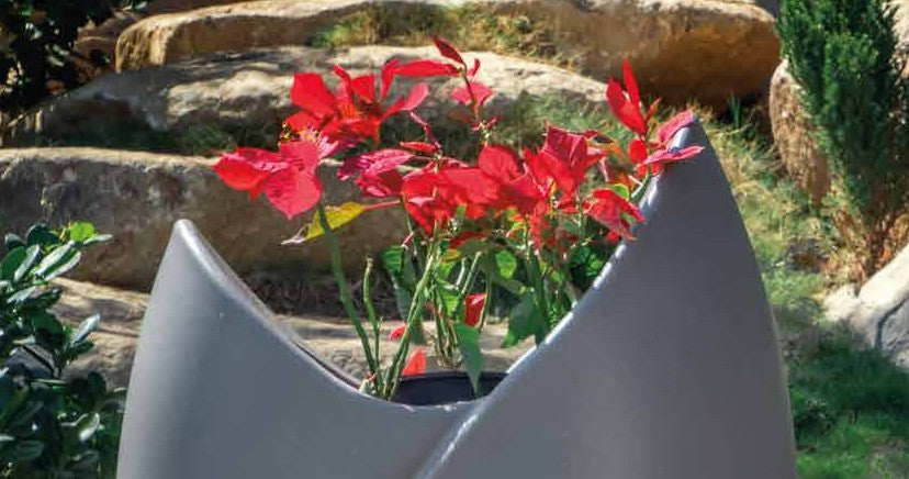 TULIP Planter
