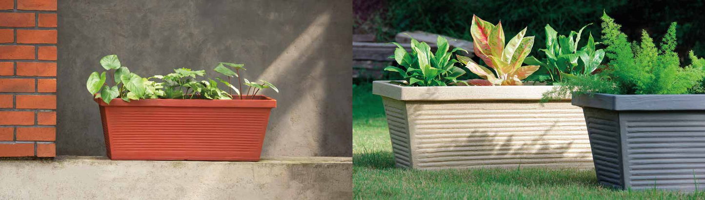 Carlos Planter