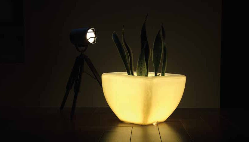 LED Quad Planter