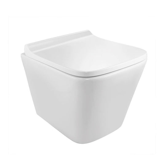 360 Rotation Tech Image Rimless, Blind Installation Wall Hung WC