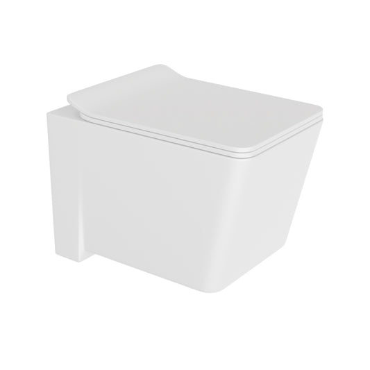 Tech Image Rimless Blind Installation Wall Hung WC