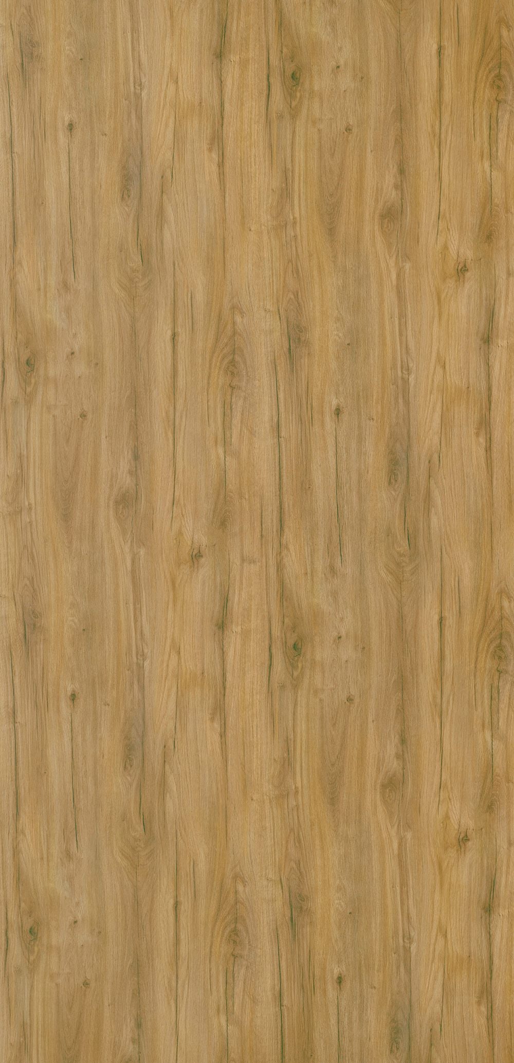 Nambia Oak – 4664 EO