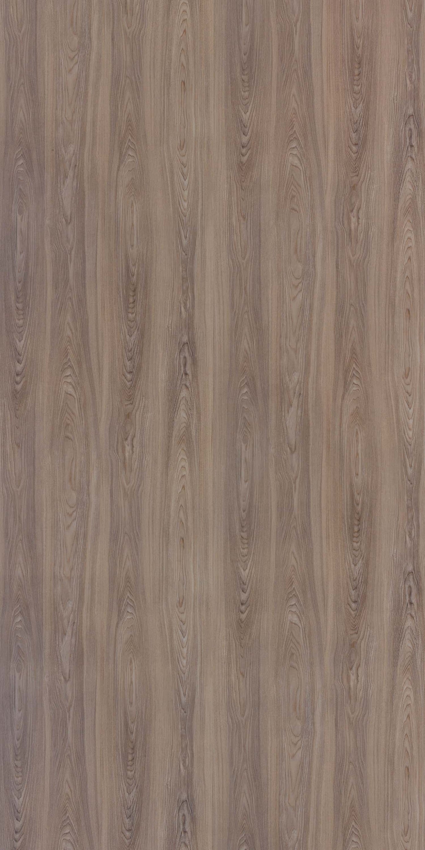 Nature Ash – 2593 NP