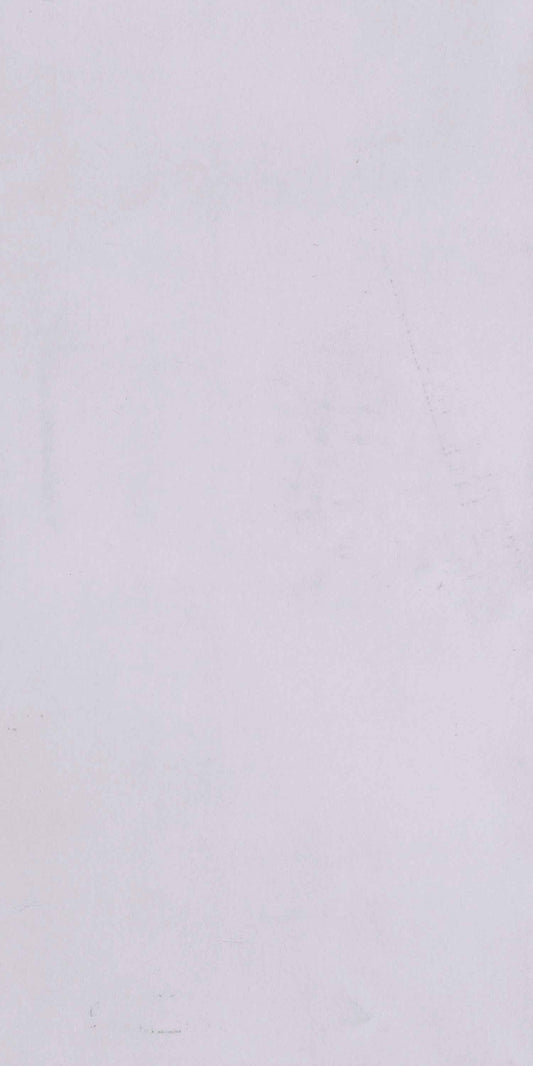 Silver Brush – 1001 BR