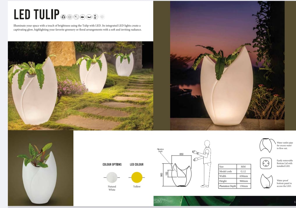 TULIP Planter
