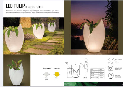 TULIP Planter