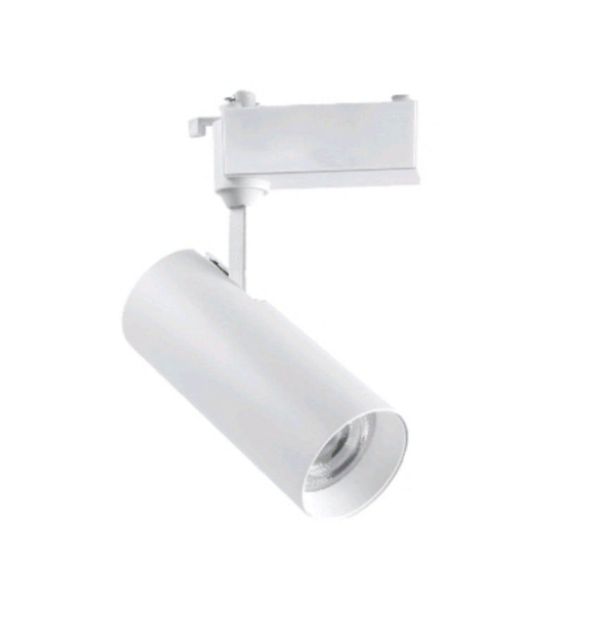 RS Track Light