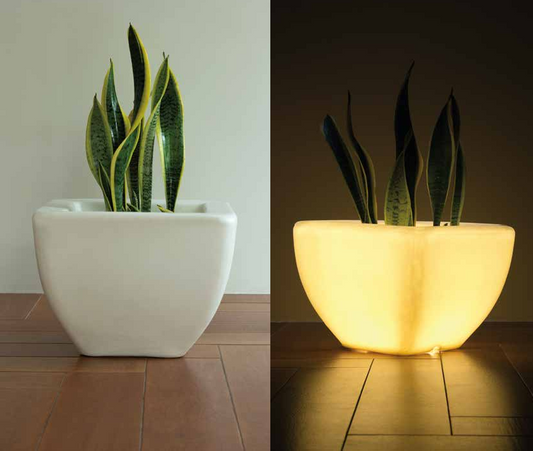 LED Quad Planter