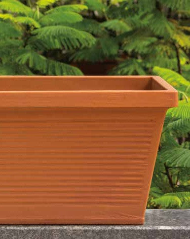 Carlos Planter